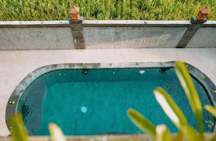 Santosha Villas & Spa ウブド エクステリア 写真