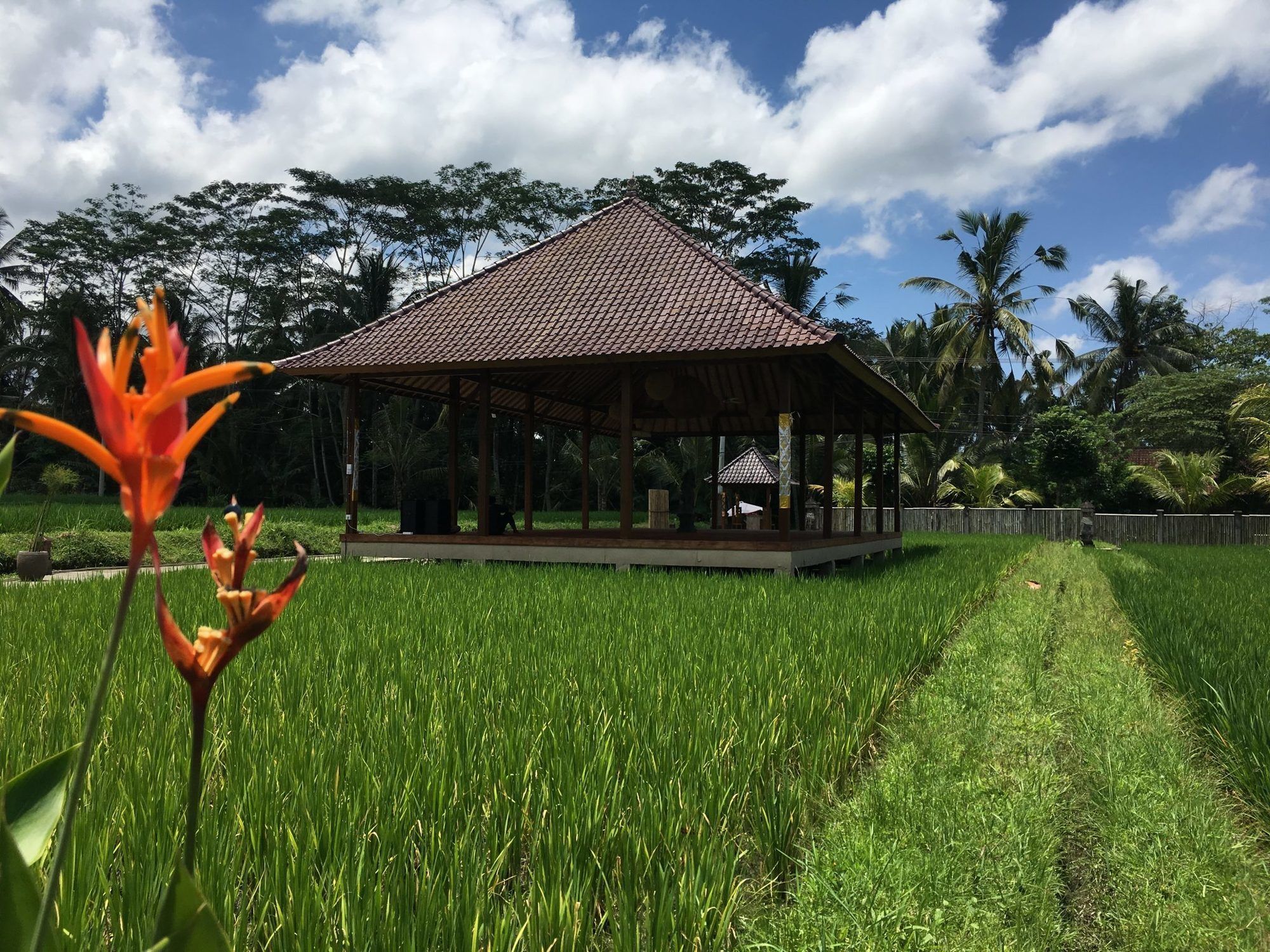 Santosha Villas & Spa ウブド エクステリア 写真